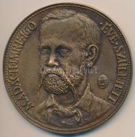 Lapis András (1942-) 1983. "Madách Imre 160 éve született / Az ember tragédiája - Az ősbemutató centenáriuma" Br emlékérem (84mm) T:2