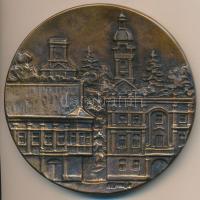 Renner Kálmán (1927-1994) DN "Győr" Br emlékplakett (93mm) T:2