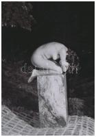 cca 1973 A negatívtár rejtett kincsei, 13 db korabeli negatívról készült modern nagyítások, 13x9 cm ...