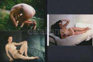 cca 1979 Feminin finomságok, 13 db korabeli negatívról készült modern nagyítások, 15x10 cm / 13 erot...