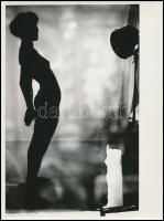 cca 1975 Sziluett lányok, 7 db korabeli negatívról készült modern nagyítások, 13x9 cm, 15x10 cm + 1 ...
