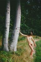 cca 1980 Találkozás az erdő tulajdonosával, finoman erotikus fényképek, 5 db korabeli negatívról kés...