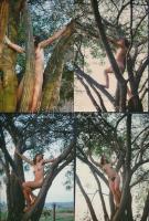 cca 1983 Fészekrakó, finoman erotikus fényképek, 9 db korabeli negatívról készült modern nagyítások, 15x10 cm / 9 erotic photos, 15x10 cm