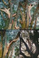 cca 1983 Fészekrakó, finoman erotikus fényképek, 9 db korabeli negatívról készült modern nagyítások,...