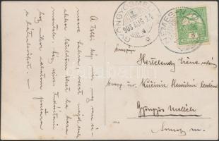 1908 Vindornyalaki Hertelendy Irén testvéreivel és sógoraival. Fotólap, hátoldalon kézzel írt szöveg...