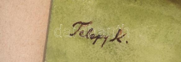 Telepy jelzéssel: Erdei út. Akvarell, papír, üvegezett keretben, 25×36 cm