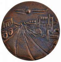 1989. "125 éves az Aszfaltútépítő Vállalat 1864-1989" Br emlékplakett dísztokban (90mm) T:...