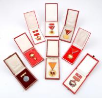 8db-os vegyes magyar szocialista kitüntetés és jelvény tétel, mindegyik tokban, közte 1968. "Magyar Népköztársaság Bajnoka" fém kitüntetés, zománcozott fém szalagon, ~1960-1970. "Gépipar Kiváló Dolgozója" zománcozott fém jelvény miniatűrrel együtt T:vegyes