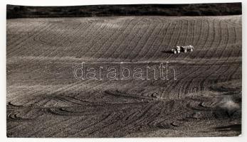 cca 1970 Zsigri Oszkár: Nyár, feliratozott vintage fotóművészeti alkotás, 23x40 cm