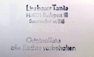 Mozdony, mozdonyfordító, Linzbauer Tamás által jelzett fotók,12db,  9x14cm