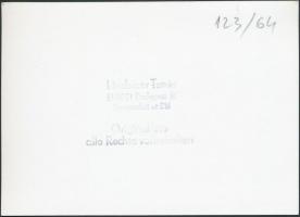 Villanymozdony Hév vonat, Linzbauer Tamás által jelzett fotó, 10x15cm