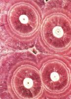 18 db MODERN használatlan motívumlap; ásványok / 18 unused modern motive cards; minerals