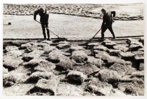 cca 1965 Magyar Alfréd: Gyeptéglázók, pecséttel jelzett, feliratozott vintage fotóművészeti alkotás, 24x38 cm