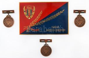 1970-1972. "Magyar Népköztársaság Bajnokságai" zománcozott Br vízilabdás díjérem eredeti t...