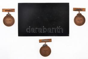 1970-1972. "Magyar Népköztársaság Bajnokságai" zománcozott Br vízilabdás díjérem eredeti t...