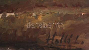 Holló jelzéssel: Áradó patak. Olaj, karton, 50×70 cm