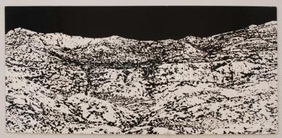 cca 1970 Koós Pál (1930-1982): Kietlen vidék, feliratozott, vintage fotóművészeti alkotás, kasírozva, 26x58 cm