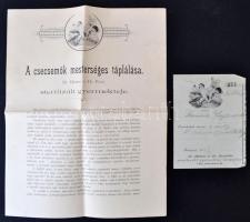 cca 1900 Haniss és Pécsi sterilizált gyermektejének hirdetése, grafikákkal ellátott reklámlevelei és...