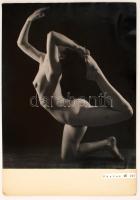 cca 1975 Czakó László: Párduc, pecséttel jelzett vintage fotóművészeti alkotás, nagyméretű aktfotó, 60x50 cm, karton 70x50 cm