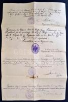 1900 Tartalékos hadnagyi kinevezés, hajtások mentén szakadással / Leutnant appointing warrant