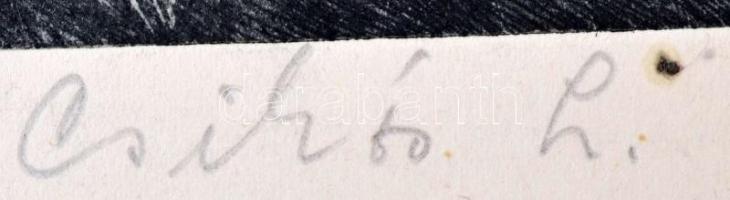 Csikós jelzéssel: Erdő. Rézkarc, papír, jelzett, 16x20 cm