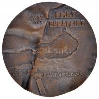 1987. "XX. FMKT Budaprint - 1987 Balatonföldvár" Br emlékérem (77mm) T:2