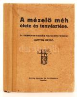 Krancher Oszkár: A mézelő méh élete és tenyésztése. Egy közérthető tankönyv a méh tevékenységéről, hasznáról és bonctanáról. Ford. Hutter Rezső. Sopron, 1911, Röttig Gusztáv és Fia. 166 p.+ 6 t. Szövegközti és egészoldalas rajzokkal gazdagon illusztrálva. Kiadói félvászonkötésben. Az előzéklapból kis rész hiányzik.