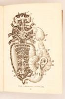 Krancher Oszkár: A mézelő méh élete és tenyésztése. Egy közérthető tankönyv a méh tevékenységéről, h...