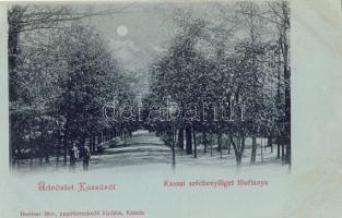 Kassa Litho (b)