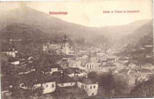 Selmecbánya, Banská Stiavnica; Látkép az Óvárral és környékével; 168. Grohmann kiadása / view (ázott / wet damage)