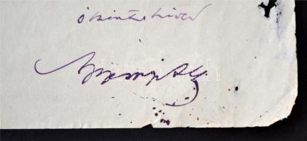 1928 gróf Apponyi Albert (1846-1933) saját kézzel írt és aláírt levele dr.Tarányi Ferenc vas megyei ...