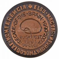 1991. "Első Magyar Neuoropathologiai Konferencia / Sántha Kálmán - Schaffer Károly" Br eml...