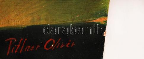 Pittner jelzéssel: Házak a távolban. Olaj, karton, 68×47 cm