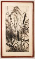 Hertay Mária (1932): Vízparti növények. Rézkarc, papír, jelzett, üvegezett keretben, 58×29 cm