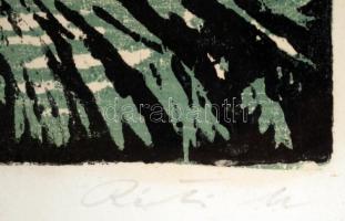 Réti Mátyás (1922-2002): Erdő. Színezett linó, papír, jelzett, üvegezett keretben, 23×32 cm