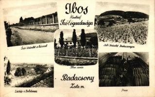 Badacsony, Ibos család szőlőgazdasága, kúria, szőlőrészletek, pince, látkép a Balatonra