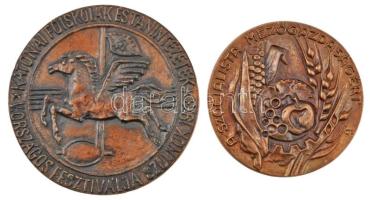 Lajos József (1936-) ~1970. "A szocialista mezőgazdaságért" Br egyoldalas emlékérem dísztokban (88,5mm) + 1975. "Katonai Főiskolák VI. Fesztiválja - Szolnok 1975" Br plakett dísztokban (110mm) T:1-,2