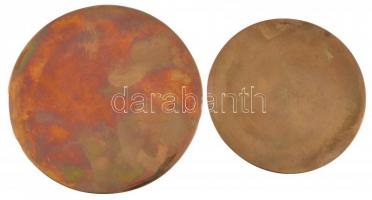 Lajos József (1936-) ~1970. "A szocialista mezőgazdaságért" Br egyoldalas emlékérem díszto...