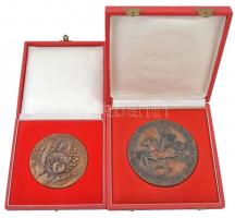 Lajos József (1936-) ~1970. "A szocialista mezőgazdaságért" Br egyoldalas emlékérem díszto...