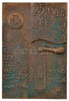 1984. "25 éves a kollégiumi mozgalom" Br plakett tokban (108x75mm) T:2 enyhe patina