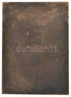 1984. "25 éves a kollégiumi mozgalom" Br plakett tokban (108x75mm) T:2 enyhe patina