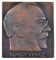 1989. "Nagy Imre / 1958. június 16. 1989" Br plakett tokban (70x65mm) T:2