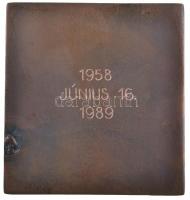 1989. "Nagy Imre / 1958. június 16. 1989" Br plakett tokban (70x65mm) T:2