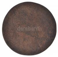 DN "Magyar Kereskedelmi és Vendéglátóipari Múzeum" Br emlékérem tokban (94mm) T:2