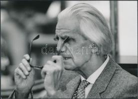 Ottlik Géza(1912-1990) magyar író, műfordító, sajtófotó, 13x18 cm