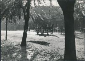 Liebmann Béla(Szeged): Szegedi utca lovaskocsival, pecséttel  jelezett fotó, 13x18 cm