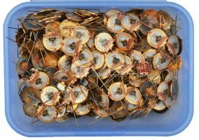 ~1960-1980. "Szerelvényért Törzsgárda" doboznyi zománcozott kitűzők, többféle év, 1kg-os s...