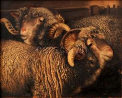 Harmann Béla (?-?): Birkák. Olaj, falemez, jelzett, keretben, 40×50 cm