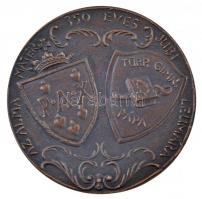 1988. "Pápai Gimnázium / Az Alma Mater 350 éves jubileumára" Br plakett (101mm) T:2