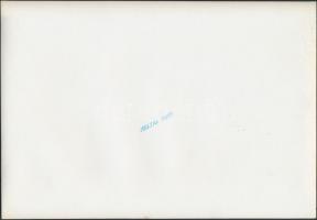 Kilátás a pécsi székesegyházról, 2 db Heltay fotó, pecséttel jelzett, 17x24 cm